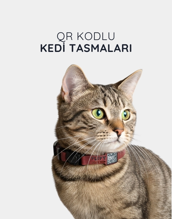 QR Kodlu Kedi Tasması