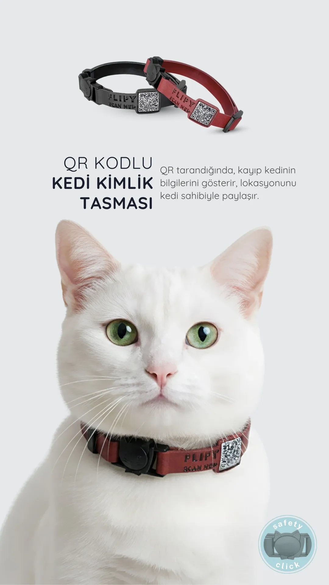 safety click kedi tasması