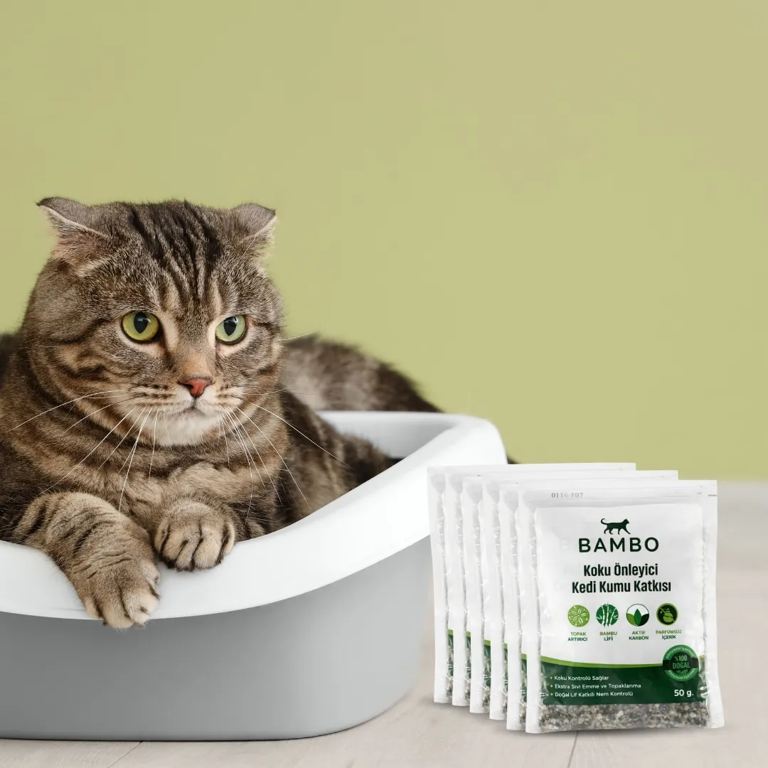 kedi kumu koku giderici