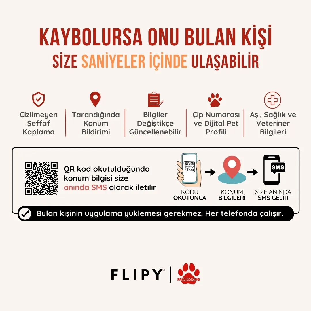 kayip kedi kunye