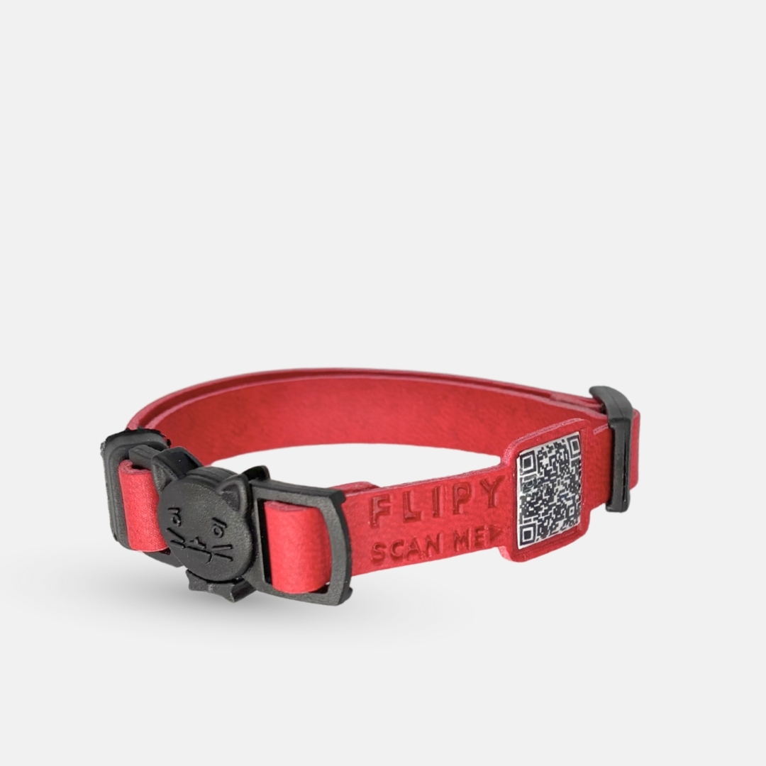 safety click kedi tasma