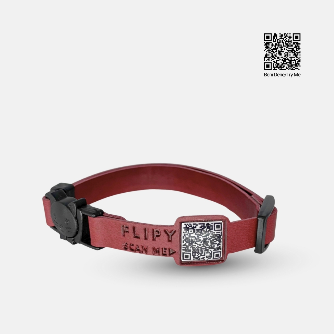 safety click kedi tasması