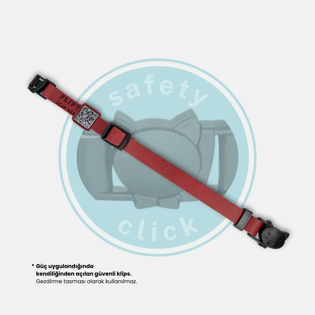 qr kodlu kedi tasması