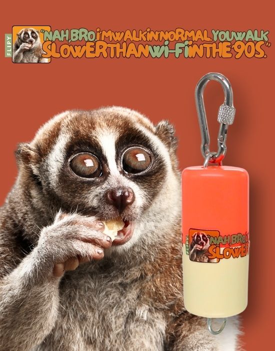 Flipy Mod Serisi Loris